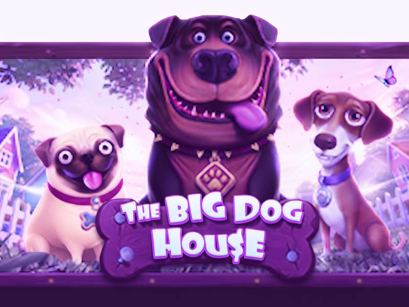 The Big Dog House